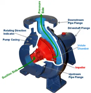 Centrifugal Pump Diagram