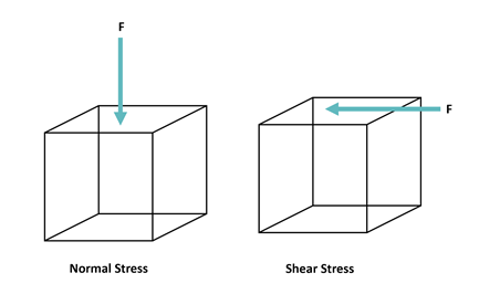 High Shear Disperser