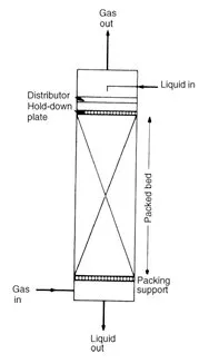 Packed Column Flow Orientation