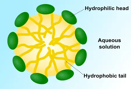 How Surfactants work