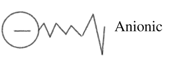 Anionic Surfactants