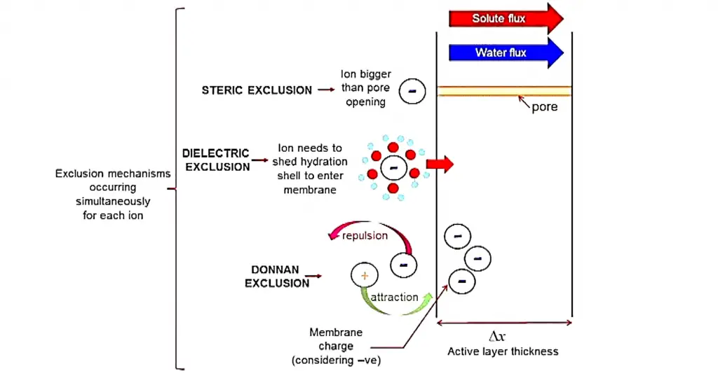 Nanofiltration Steric Exclusion