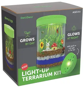 Best Engineering Toys For Kids Light-up Terrarium Kit for Kids