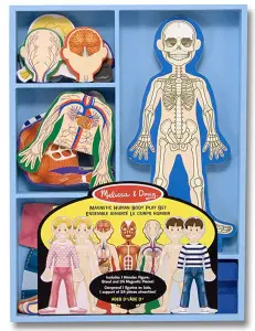 Best Engineering Toys For KidsMelissa & Doug Magnetic Human Body Anatomy Play Set