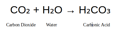 Float Type Steam Trap Formation of Carbonic Acid